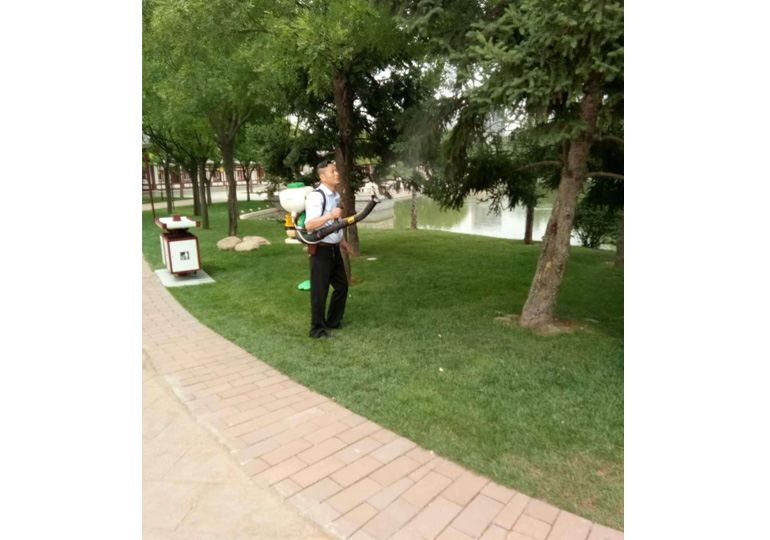 陕西户外除蚁